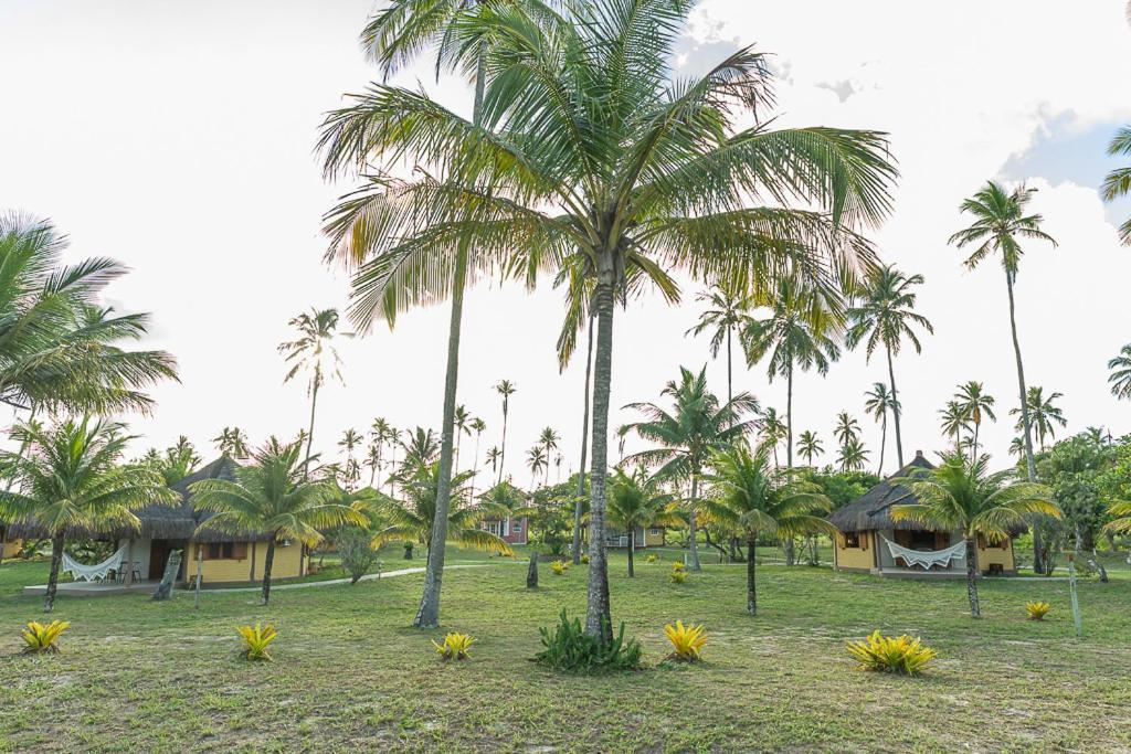 Jocotoka Village - Ponta Do Corumbau Exterior photo